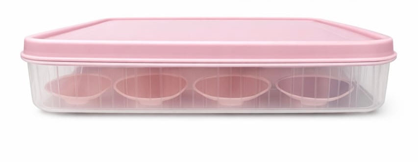 24 Eggs Storage Container